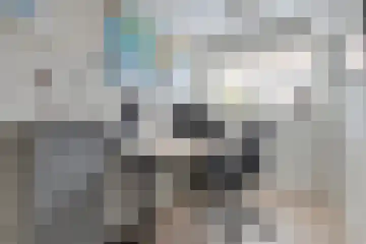 Vlotgras 4 Zeewolde thumbnail 14