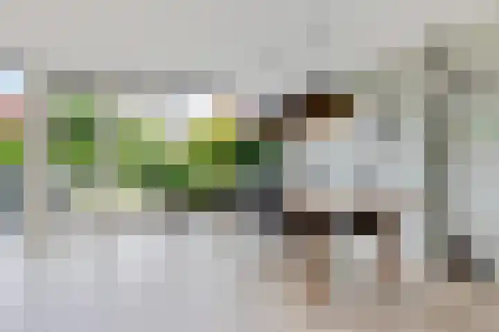 Vlotgras 4 Zeewolde thumbnail 15