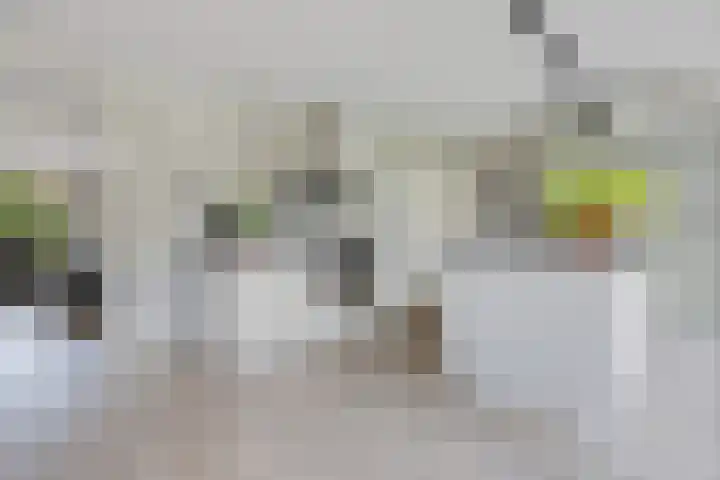 Vlotgras 4 Zeewolde thumbnail 17