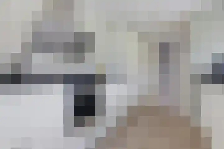 Vlotgras 4 Zeewolde thumbnail 18