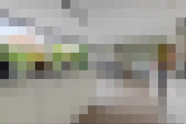 Vlotgras 4 Zeewolde thumbnail 19