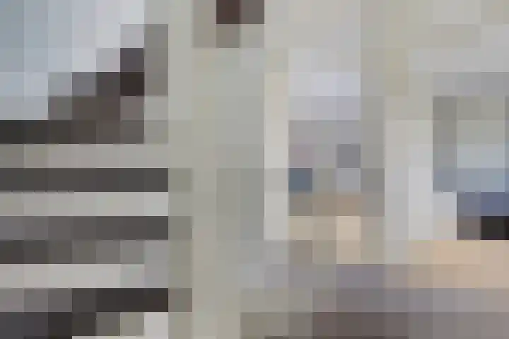 Vlotgras 4 Zeewolde thumbnail 20