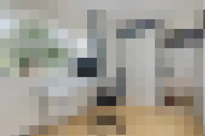 Vlotgras 4 Zeewolde thumbnail 28