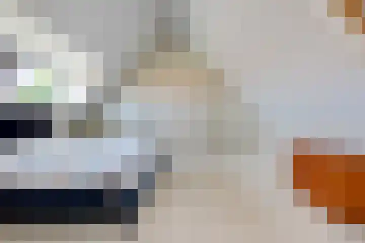 Vlotgras 4 Zeewolde thumbnail 30