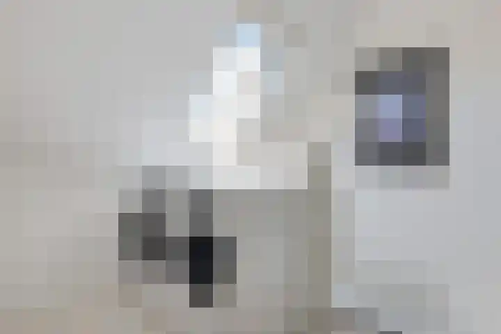 Vlotgras 4 Zeewolde thumbnail 32
