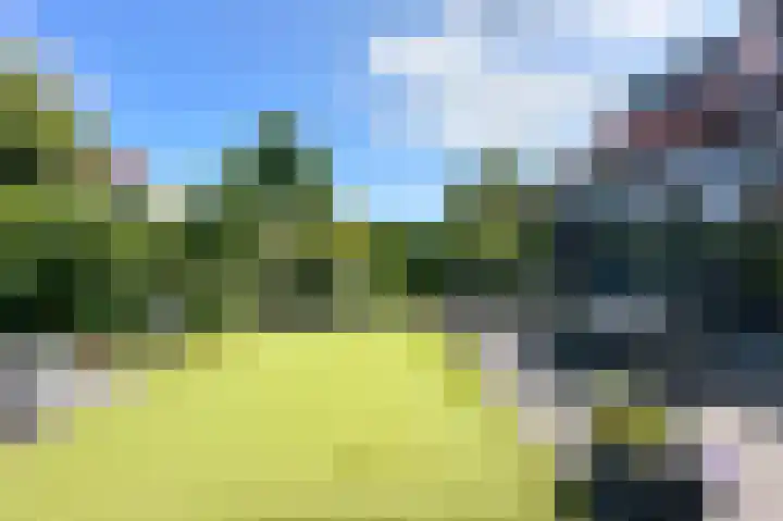 Vlotgras 4 Zeewolde thumbnail 33
