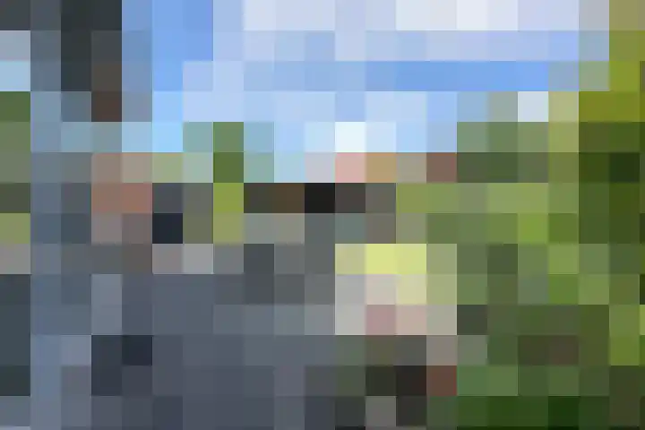 Vlotgras 4 Zeewolde thumbnail 34