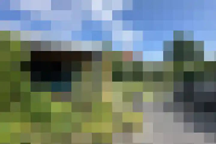 Vlotgras 4 Zeewolde thumbnail 35