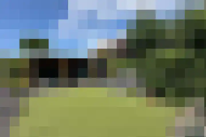 Vlotgras 4 Zeewolde thumbnail 36