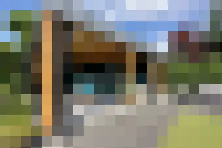 Vlotgras 4 Zeewolde thumbnail 37