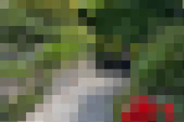 Vlotgras 4 Zeewolde thumbnail 39