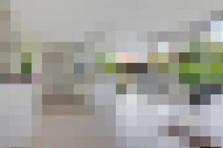 Vlotgras 4 Zeewolde thumbnail 4