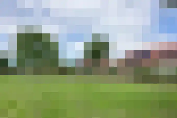 Vlotgras 4 Zeewolde thumbnail 41