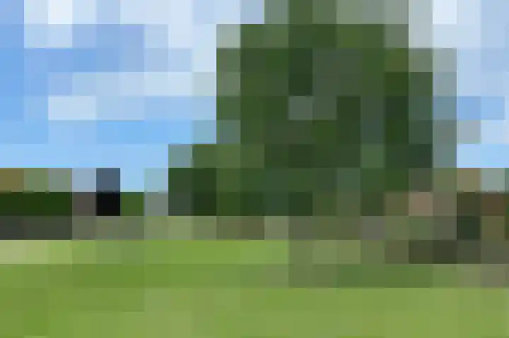 Vlotgras 4 Zeewolde thumbnail 42
