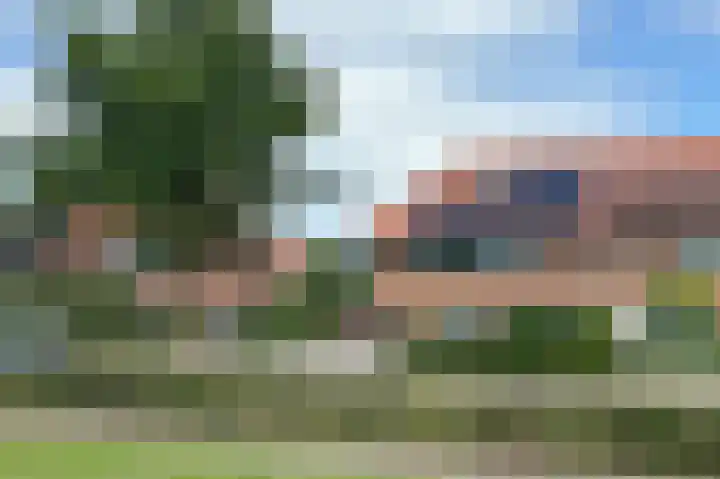 Vlotgras 4 Zeewolde thumbnail 43