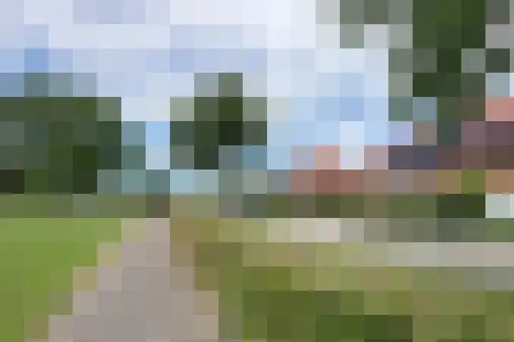 Vlotgras 4 Zeewolde thumbnail 44