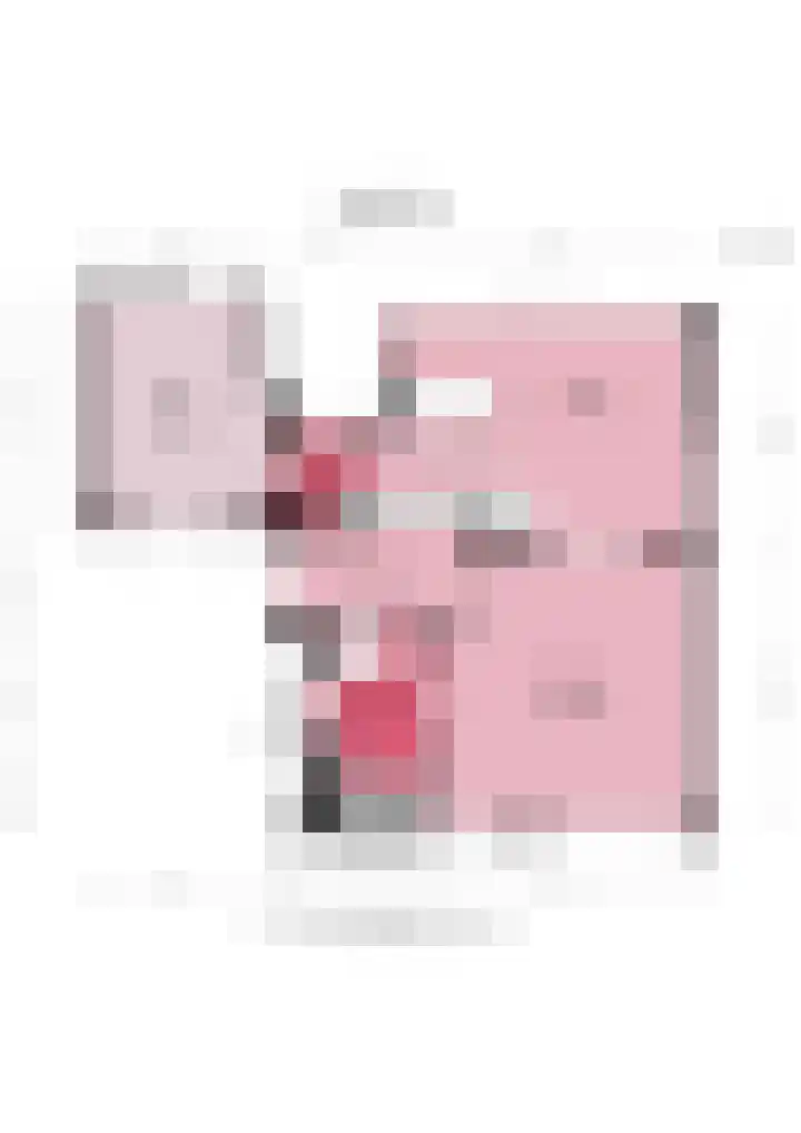 Vlotgras 4 Zeewolde thumbnail 47