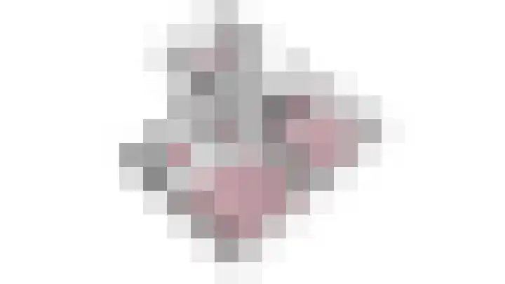 Vlotgras 4 Zeewolde thumbnail 49
