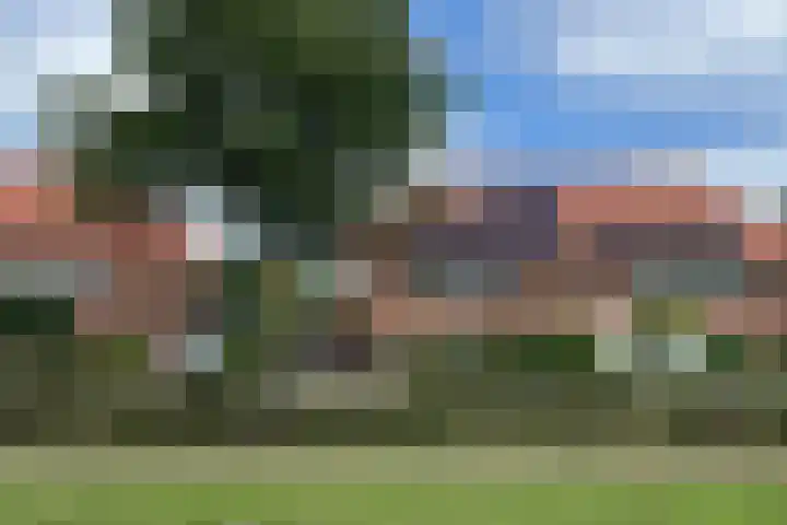 Vlotgras 4 Zeewolde thumbnail 59