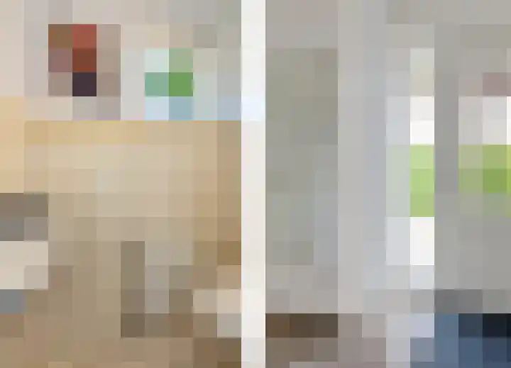 Vlotgras 4 Zeewolde thumbnail 8