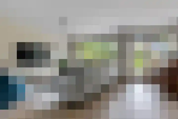 Vlotgras 4 Zeewolde thumbnail 9
