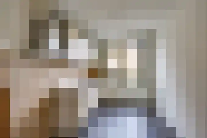 Vlotgras 48 Spijkenisse thumbnail 10