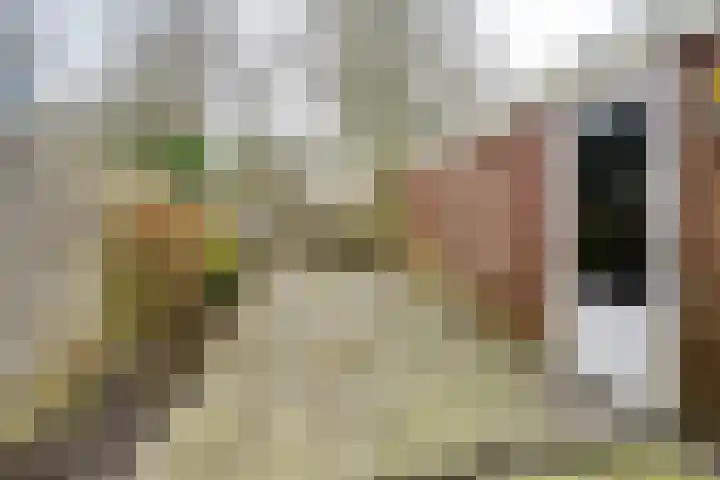 Vlotgras 48 Spijkenisse thumbnail 11