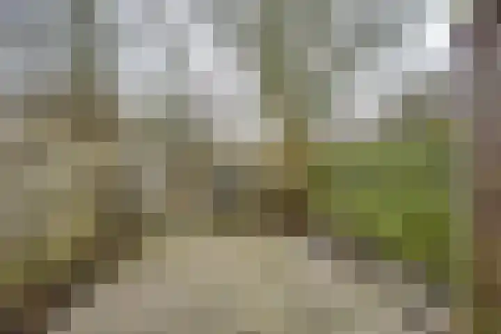 Vlotgras 48 Spijkenisse thumbnail 12