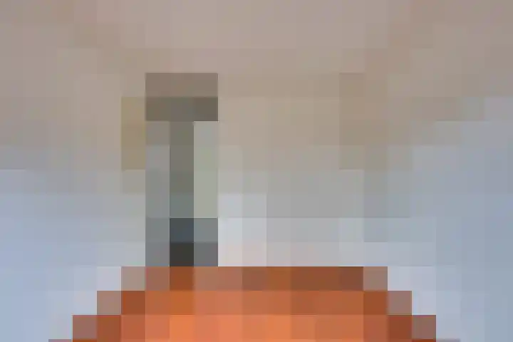 Vlotgras 48 Spijkenisse thumbnail 20