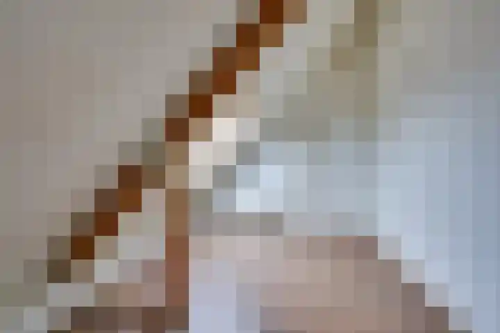 Vlotgras 48 Spijkenisse thumbnail 25