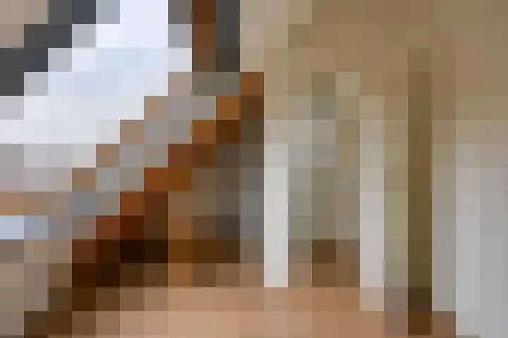 Vlotgras 48 Spijkenisse thumbnail 28