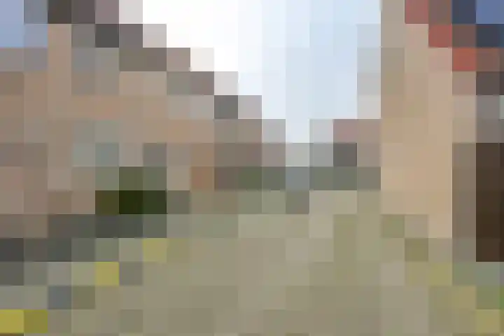 Vlotgras 48 Spijkenisse thumbnail 30