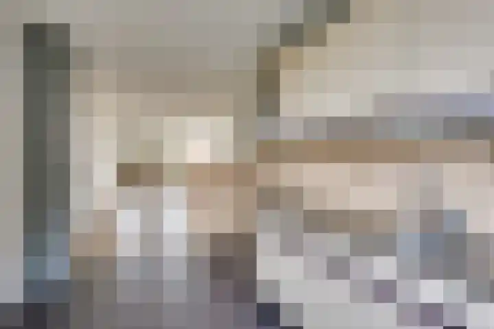 Vlotgras 48 Spijkenisse thumbnail 4