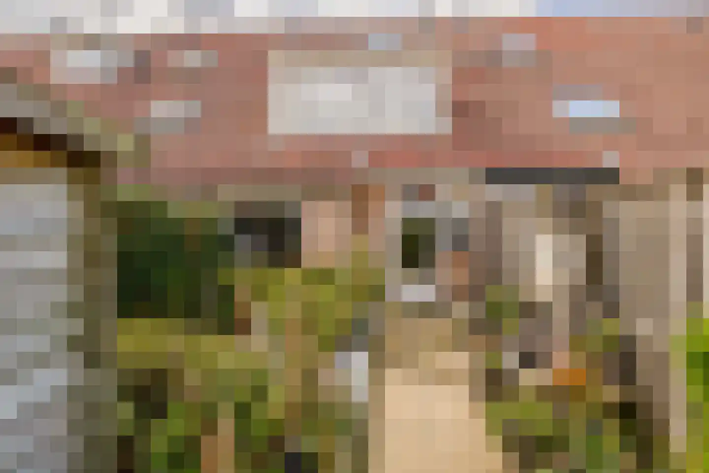 Vlotgras 51 Spijkenisse thumbnail 27