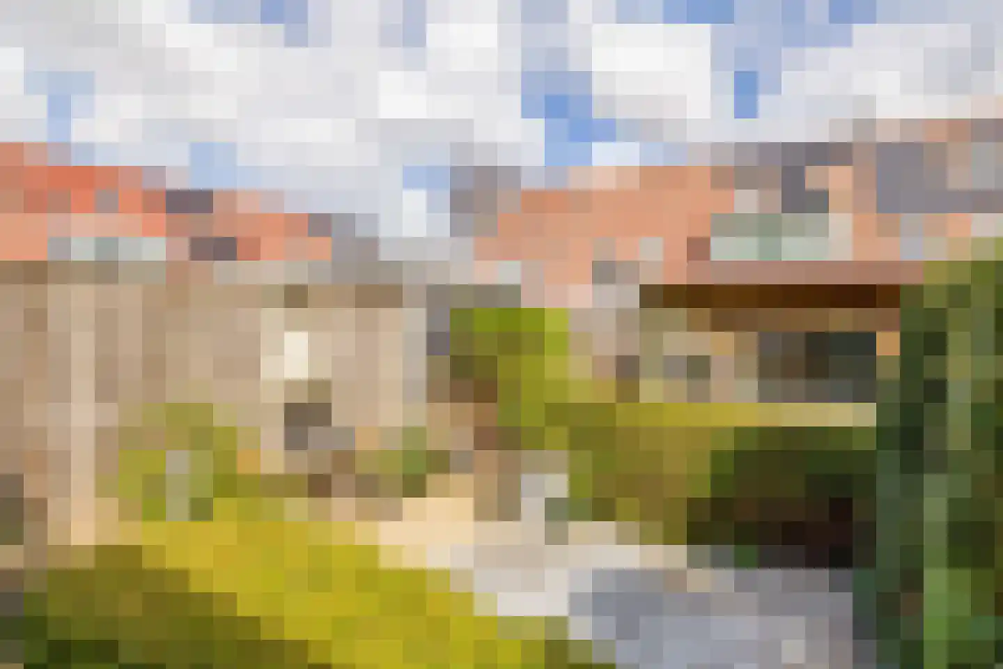 Vlotgras 51 Spijkenisse thumbnail 30
