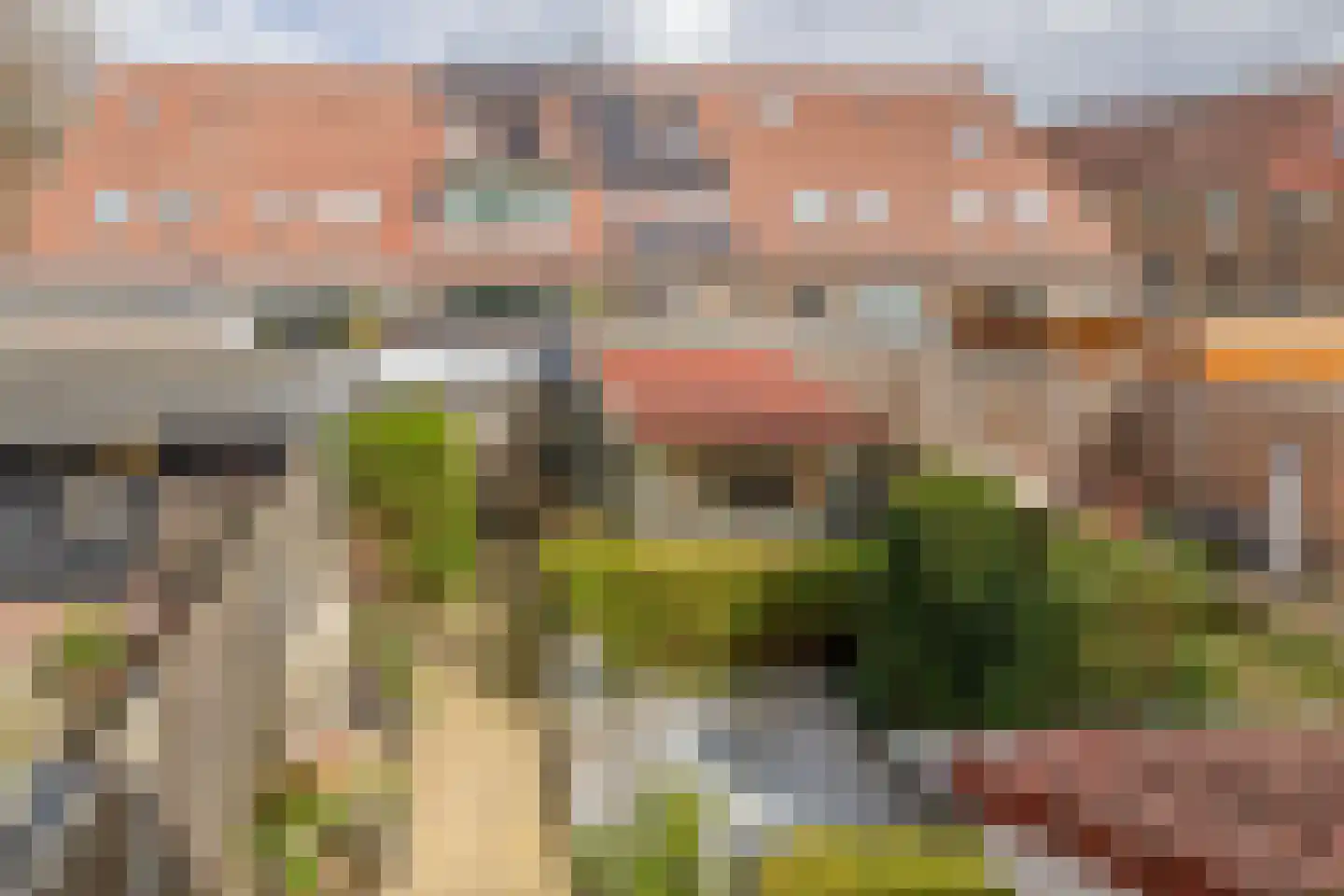 Vlotgras 51 Spijkenisse thumbnail 42