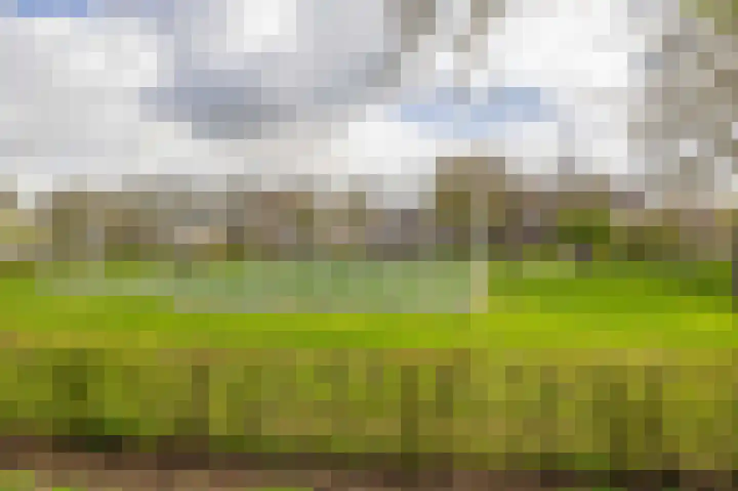 Vlotgras 51 Spijkenisse thumbnail 47