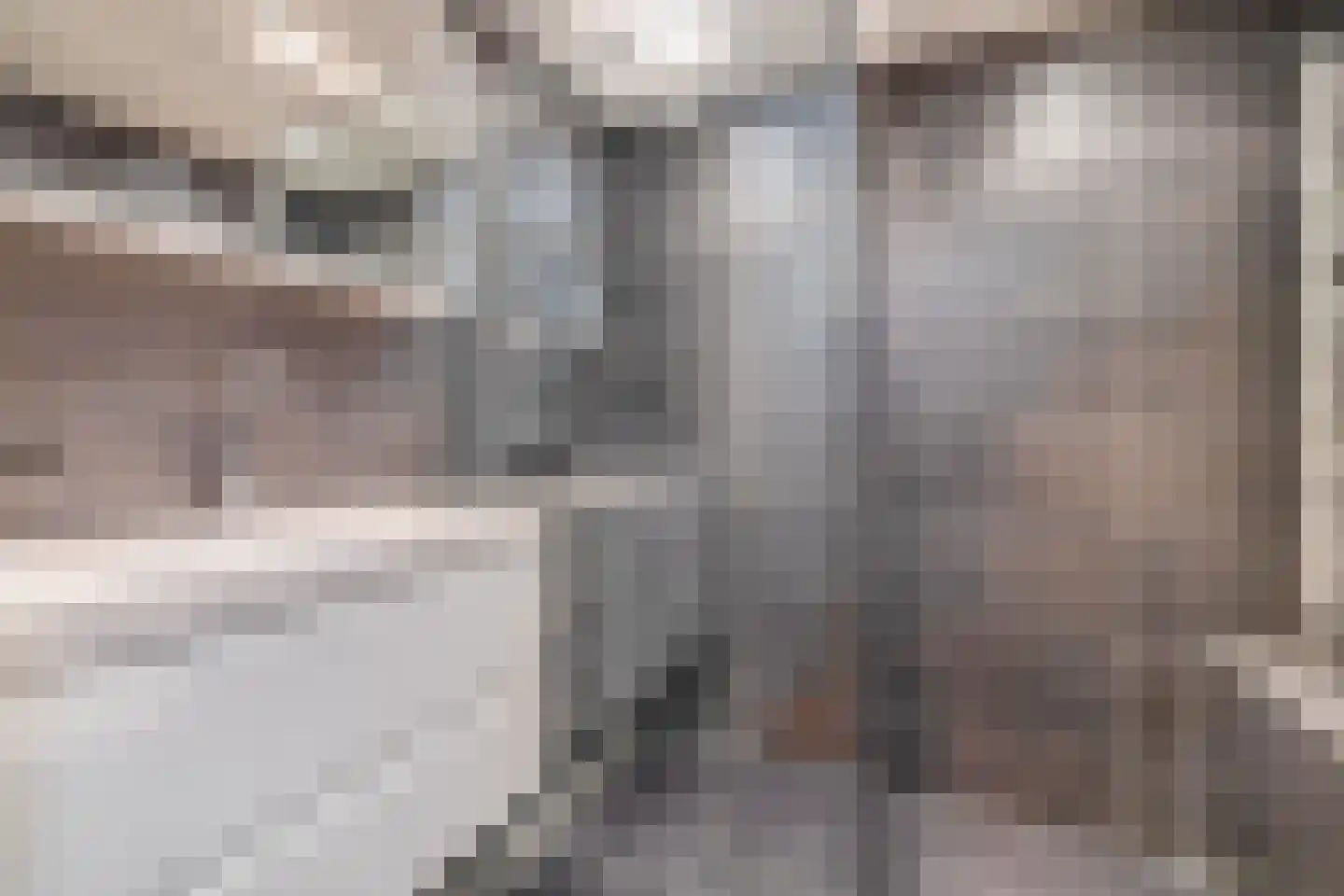 Vlotgras 51 Spijkenisse thumbnail 5