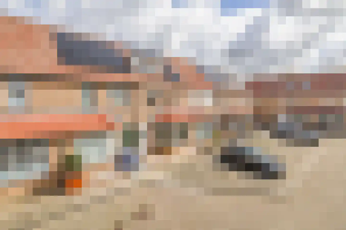 Vlotgras 51 Spijkenisse thumbnail 7
