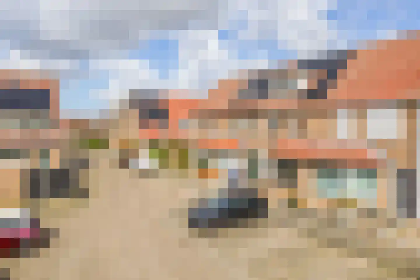 Vlotgras 51 Spijkenisse thumbnail 8