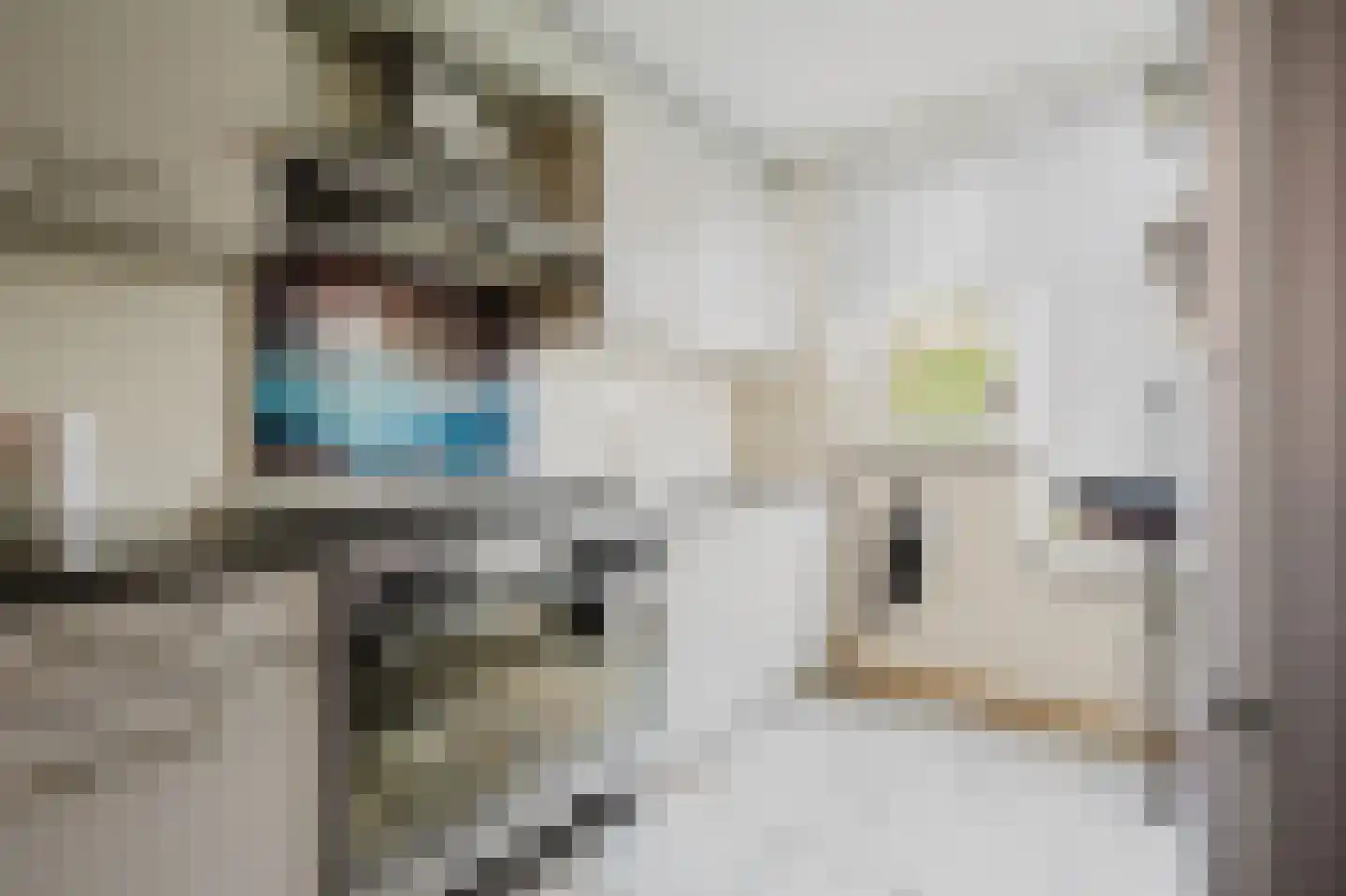 Vlotgras 76 Spijkenisse thumbnail 17