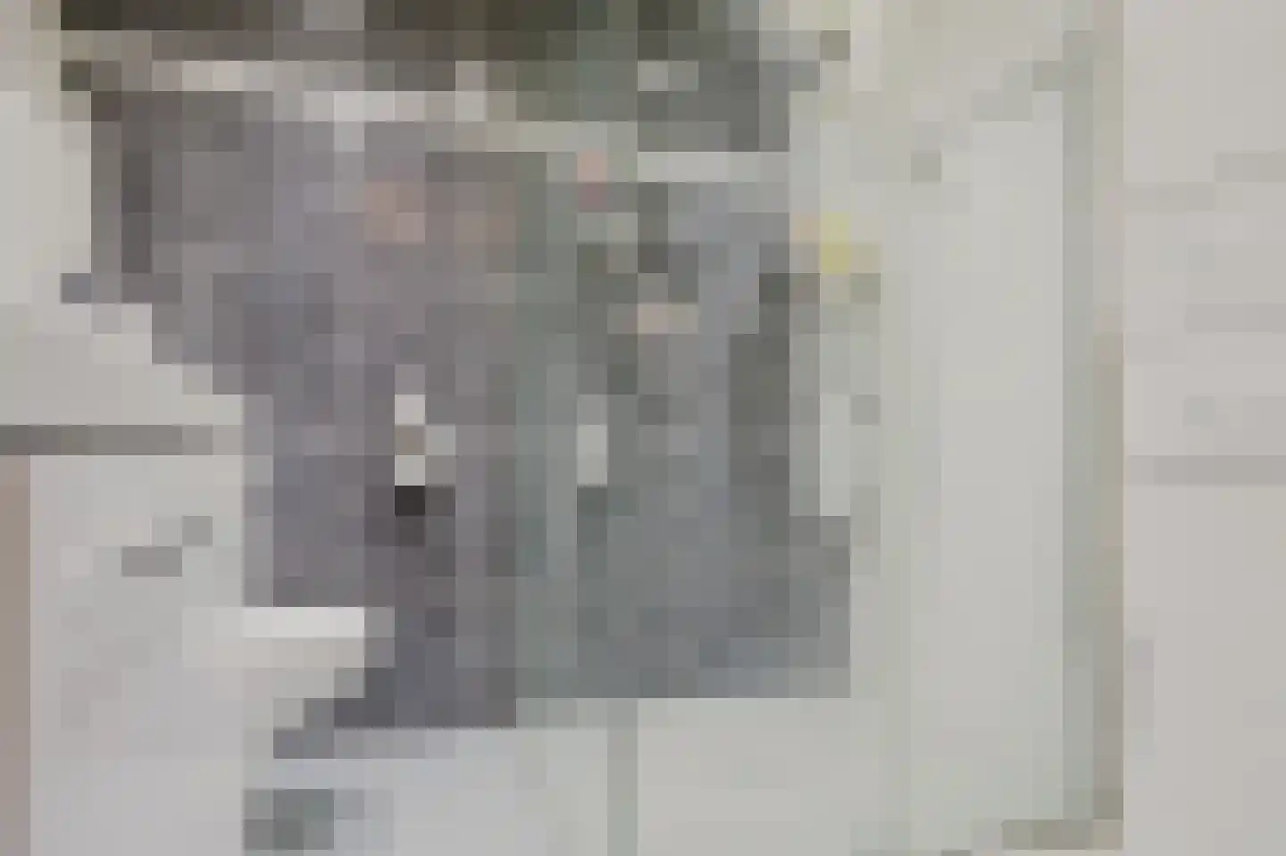 Vlotgras 76 Spijkenisse thumbnail 24