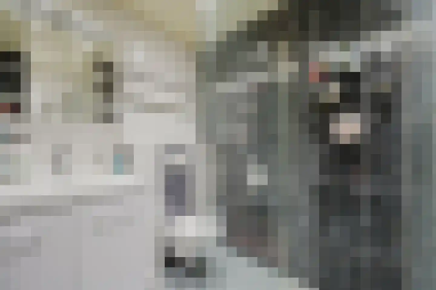 Vlotgras 76 Spijkenisse thumbnail 25