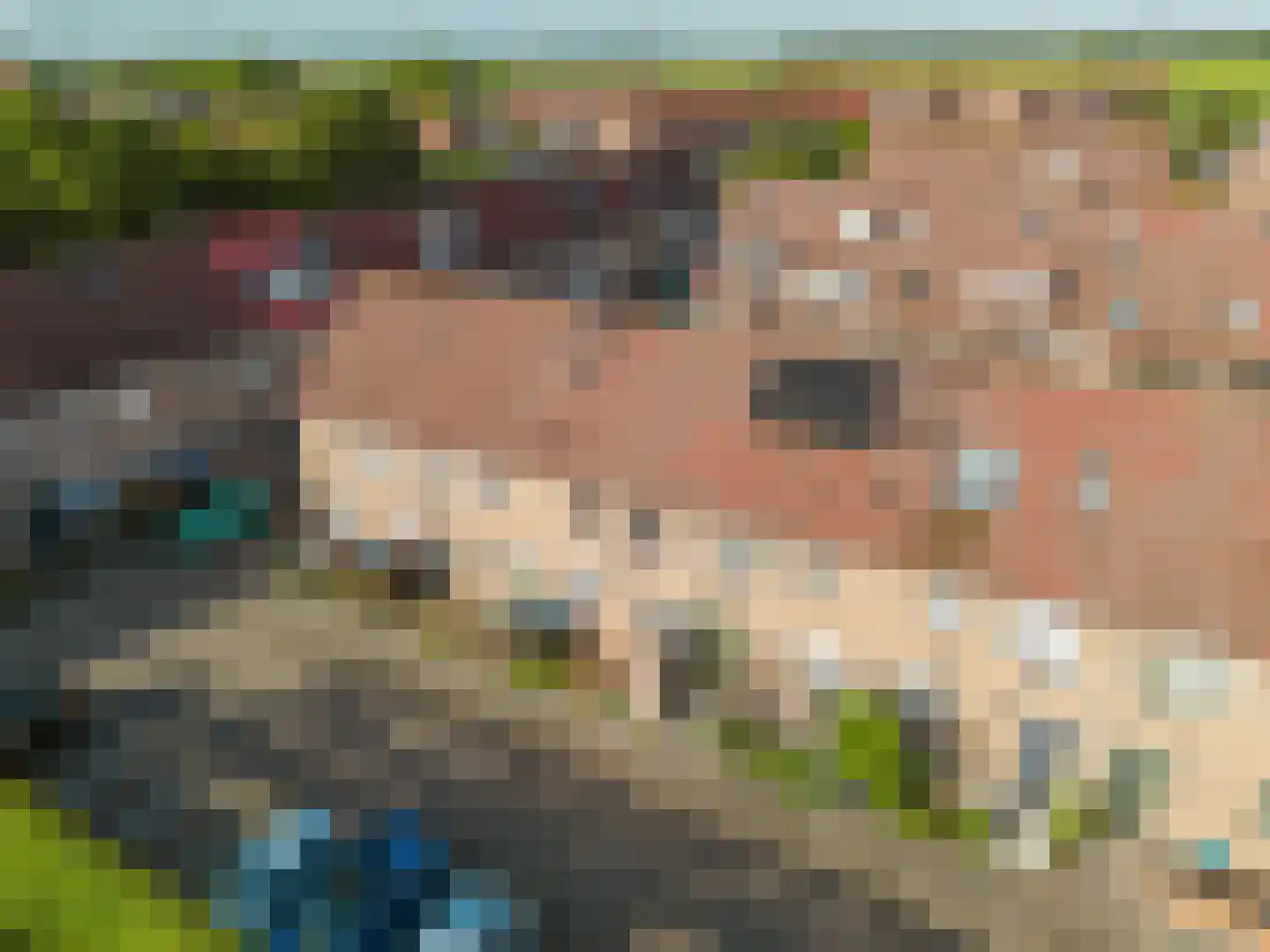 Vlotgras 76 Spijkenisse thumbnail 31