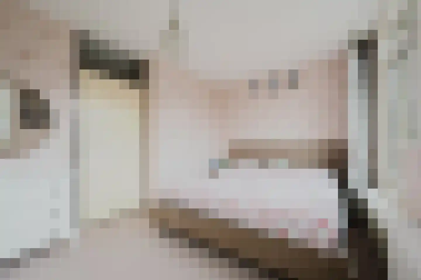 Vlotgras 76 Spijkenisse thumbnail 4