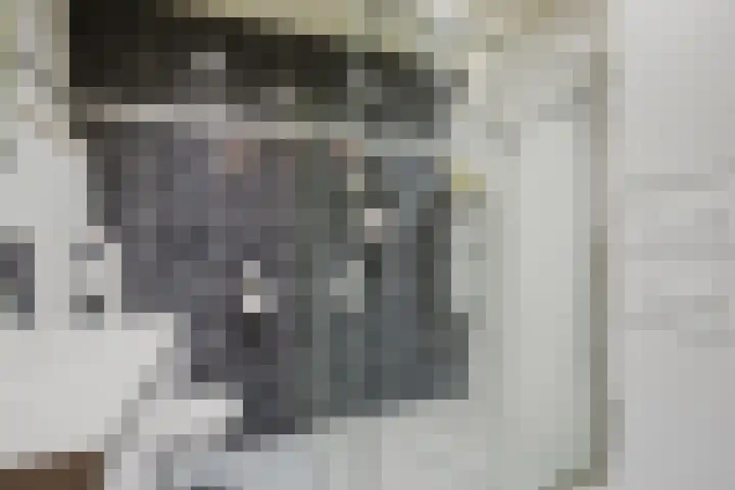 Vlotgras 76 Spijkenisse thumbnail 5