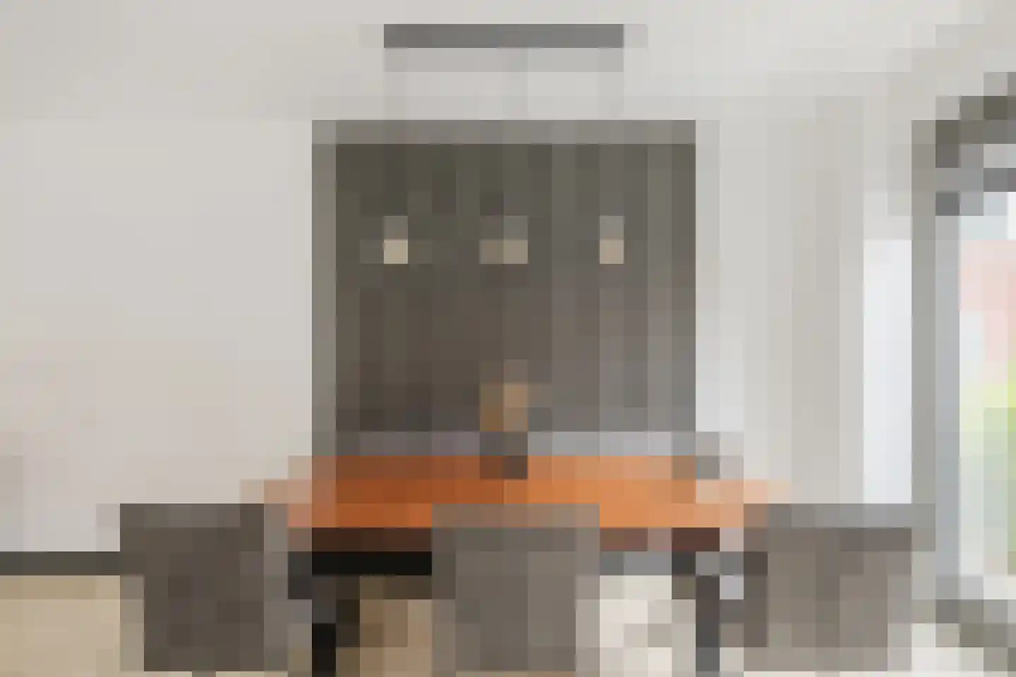 Vlotgras 9 Assendelft thumbnail 15