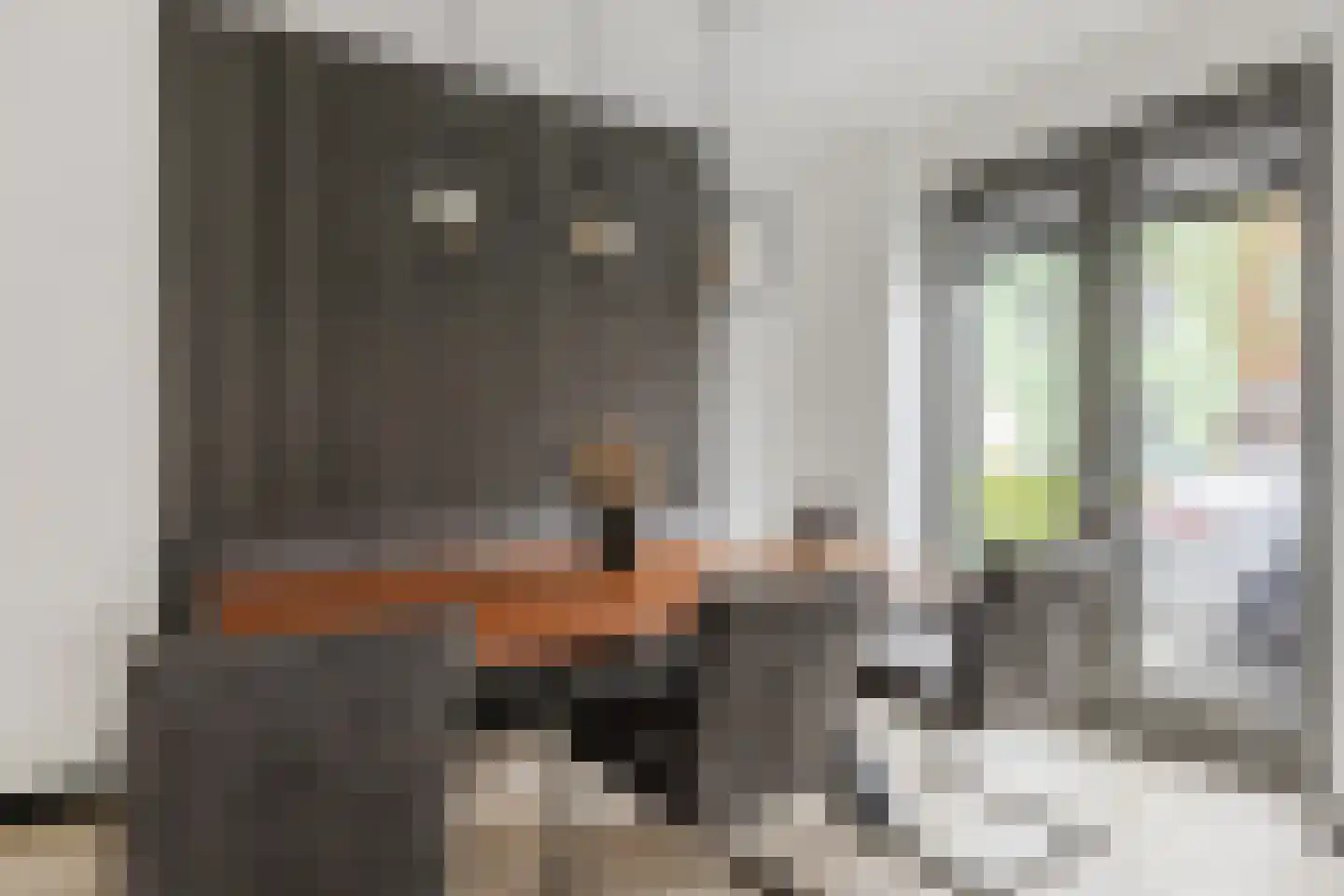 Vlotgras 9 Assendelft thumbnail 16