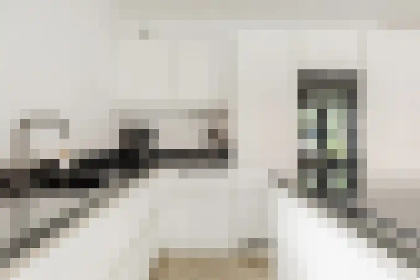 Vlotgras 9 Assendelft thumbnail 19