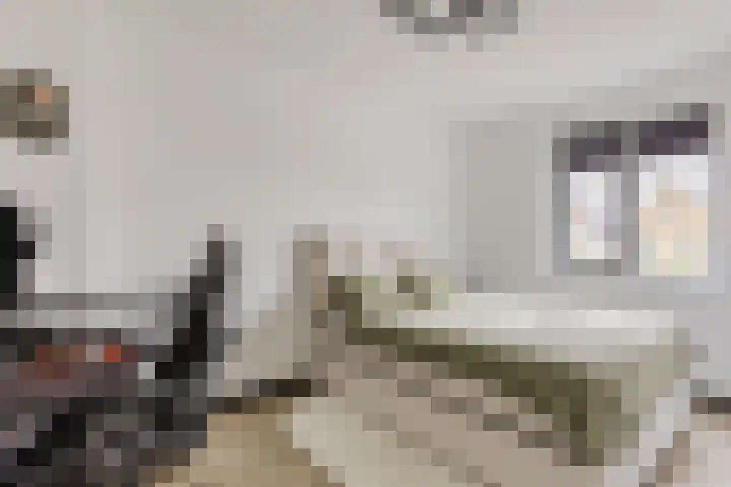 Vlotgras 9 Assendelft thumbnail 25